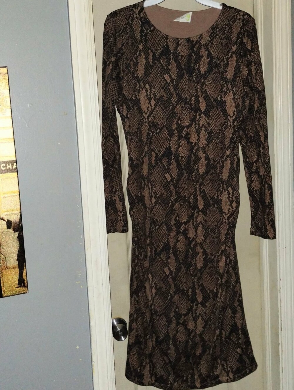 Brown Snake-Print Long Sleeve Women's Dress Size XXL